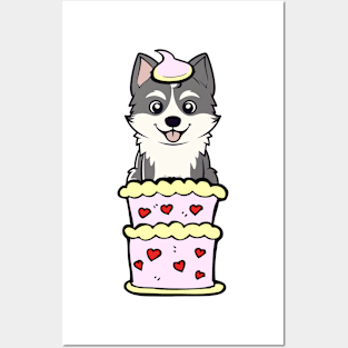 Husky dog Jumping out of a cake Posters and Art